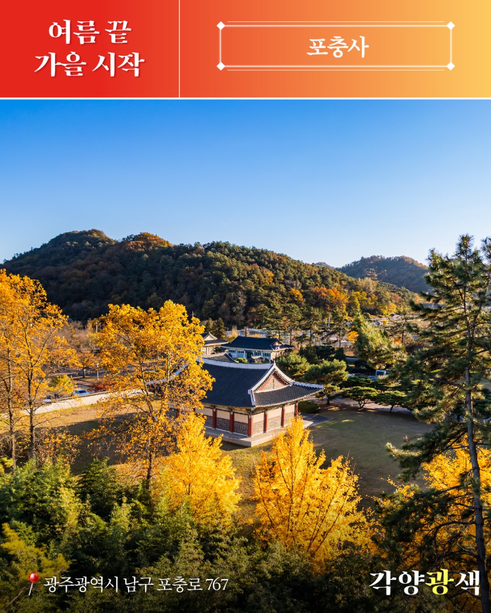 굿바이 마이 썸머 오랫동안 기다려왔던 [가을]의 각양광색 첨부이미지 : 251020_광주SNS_각양광색_여름끝_가을시작_편__5.jpg